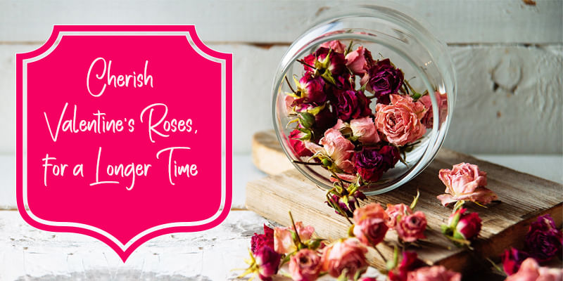 Amazing Ways to Reuse your Valentine's Day Rose Bouquets